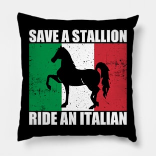 Save A Stallion Ride An Italian Pillow