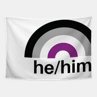 He/Him Pronouns Asexual Rainbow Tapestry