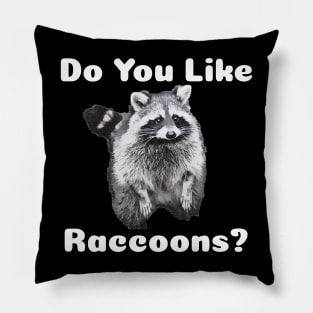 Do You Like Raccoons? Pillow