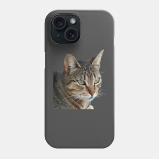 Stunning Tabby Cat Close Up Portrait Vector Isolated Phone Case