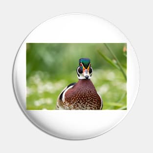 Wood duck funny portrait Pin