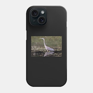 Great Blue Heron in a pond Phone Case