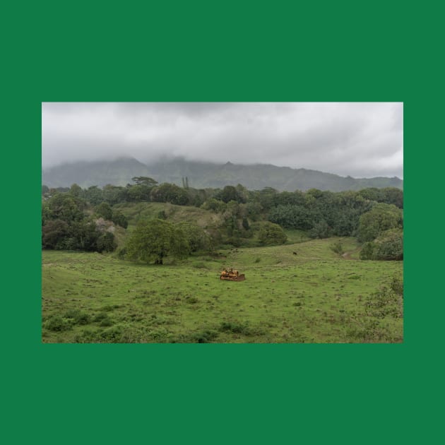 Scenic inner Kauai rural scene, Hawaii by AlexK