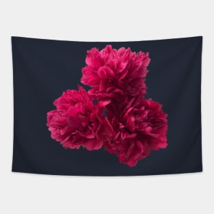 Hot Pink Peony Trio Close-up Tapestry