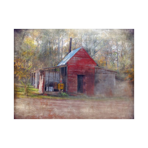 Little Country Store in the Woods by Susan Werby