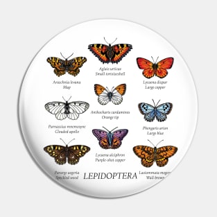 Butterfly species I. Pin