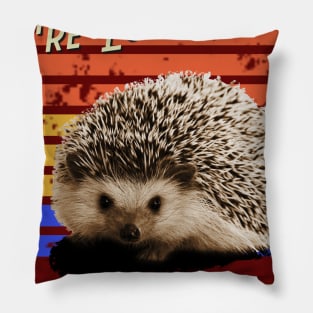 Funny Hedgehog Animal Shirt Pillow