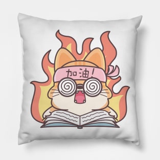 Determined Study Cat on Fire Pillow