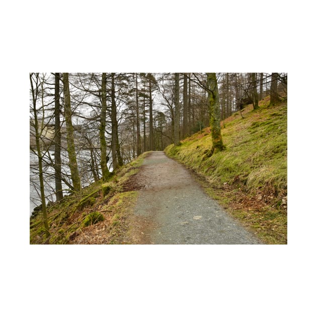 Buttermere Walks by StephenJSmith