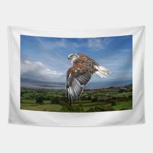 The Red-tailed Hawk over Dungarvin Bay Tapestry