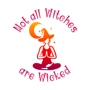 Not all Witches are Wicked T-Shirt