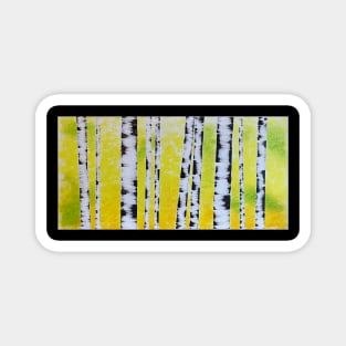 Black and White Birch Trees with Yellow Green Background Magnet