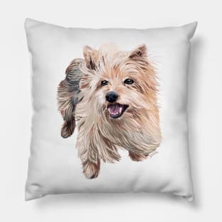 Comet the Australian Silky Terrier Pillow