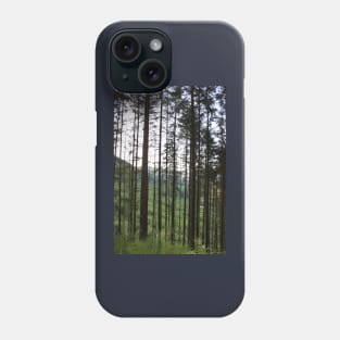 Trees of Glen Nevis Phone Case