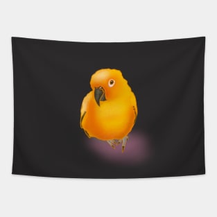 Fluffy Sun Conure Tapestry