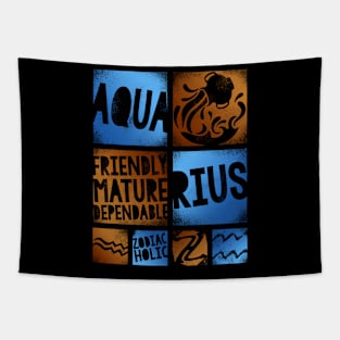 Zodiac AQUARIUS Graffiti Box Series Tapestry