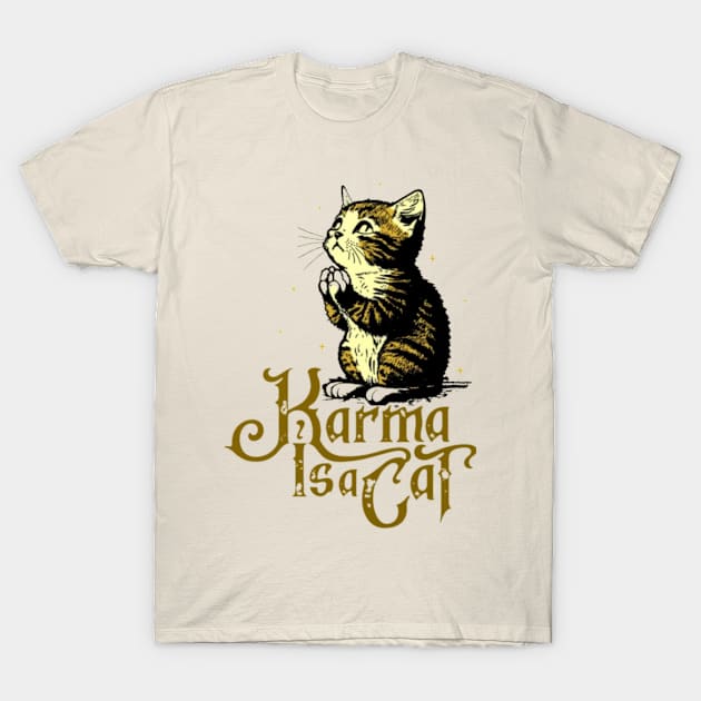 Karma is a Cat Album Covers T Shirt Taylor Swift T-Shirt Taylor