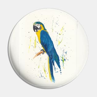 Blue and Gold Macaw in Watercolor and Ink Pin