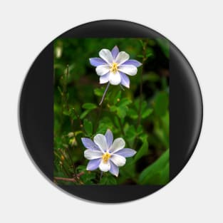 Columbine Pin