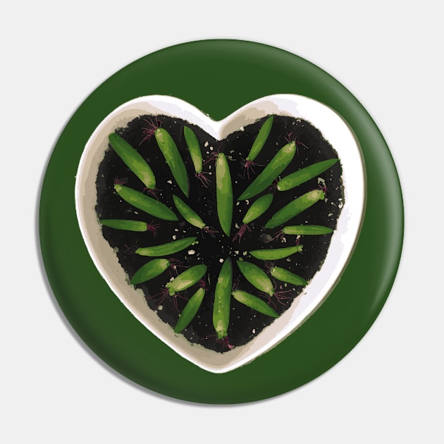 Succulent Propagating Heart Pin by Stacey Leigh