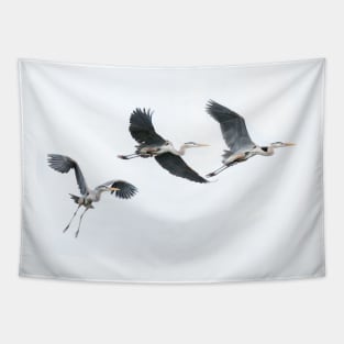 Flight of Great Blue Herons Tapestry