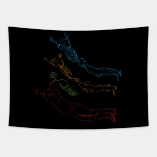 anatomy of a dive Tapestry