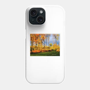 Autumn Leaves Phone Case