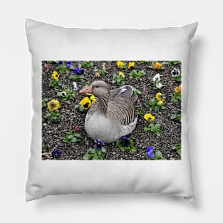 Duck in the flowerbed Pillow