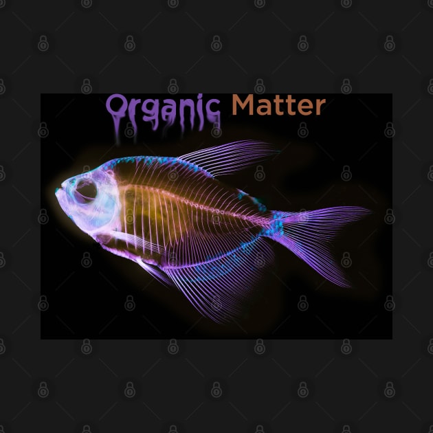 Organic matter anatomical fish skeleton by realglitch