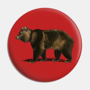 Vintage brown bear Pin