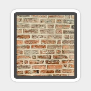 Red bricks hipster design. Magnet