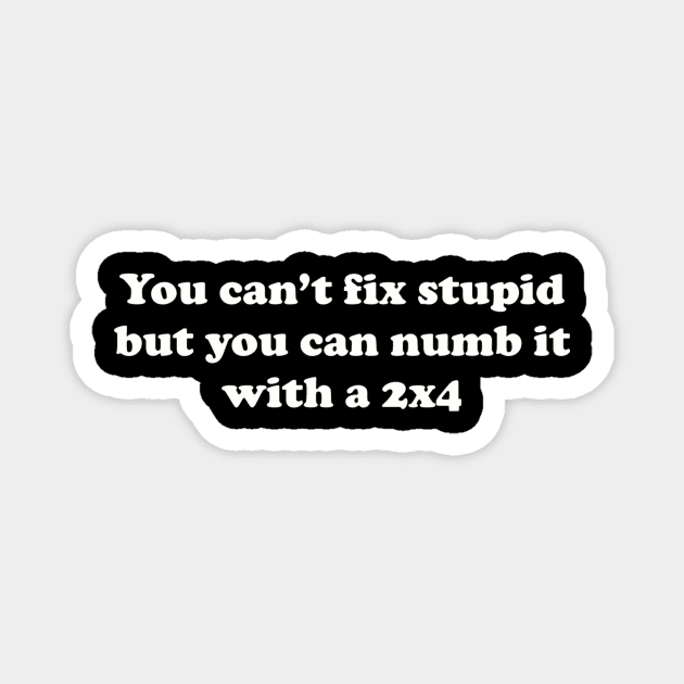 You can’t fix stupid but you can numb it with a 2x4 Magnet by TeeGeek Boutique