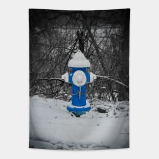 Blueing Snow Tapestry