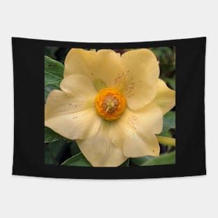 Tender Yellow Flower Tapestry