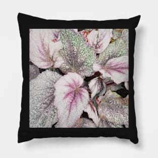 Painted Leaves Pillow