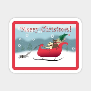 Dog and Cat Joyous Sleigh Ride Magnet
