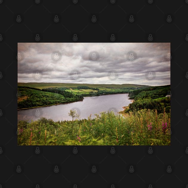 A View Over Pontsticill Reservoir by IanWL