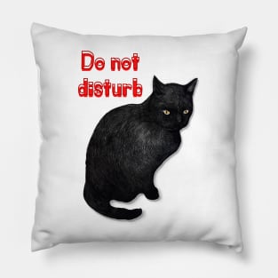 Do not disturb Pillow