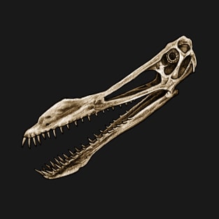 Anhanguera Pterosaur Skull T-Shirt