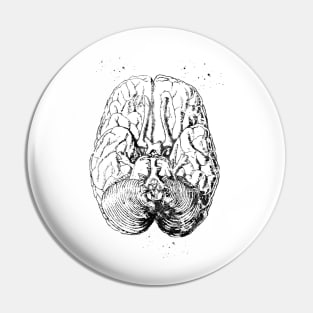 Human brain section Pin