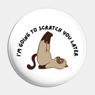 Cat Scratch Pin