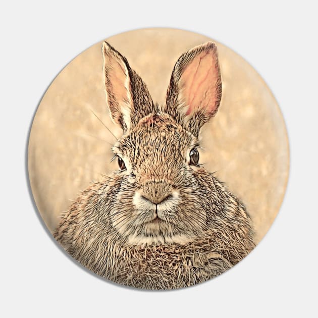 Cottontail Rabbit-A Pin by MaryLinH