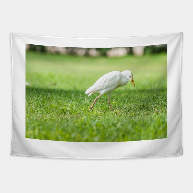 Cattle Egret 8 Tapestry by KensLensDesigns