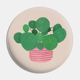 pilea interior plant Pin