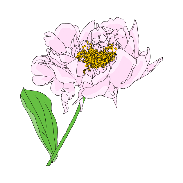 Light pink peony by Amalus-files