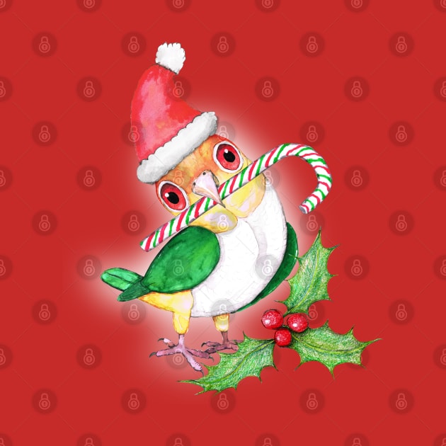 Caique Christmas style by Bwiselizzy