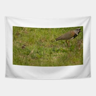 121017 Lapwing Tapestry