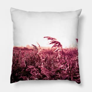 Fishbourne Reeds with red film effect - a windy day on the coast near Chichester, Sussex, UK Pillow