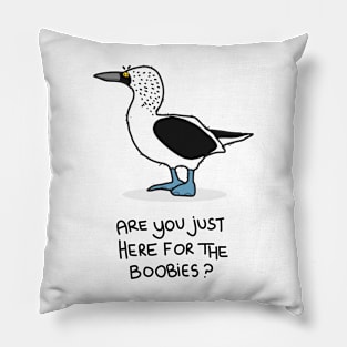 Grumpy Booby Pillow