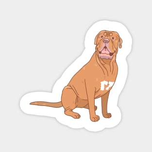 Dogue de Bordeaux Magnet